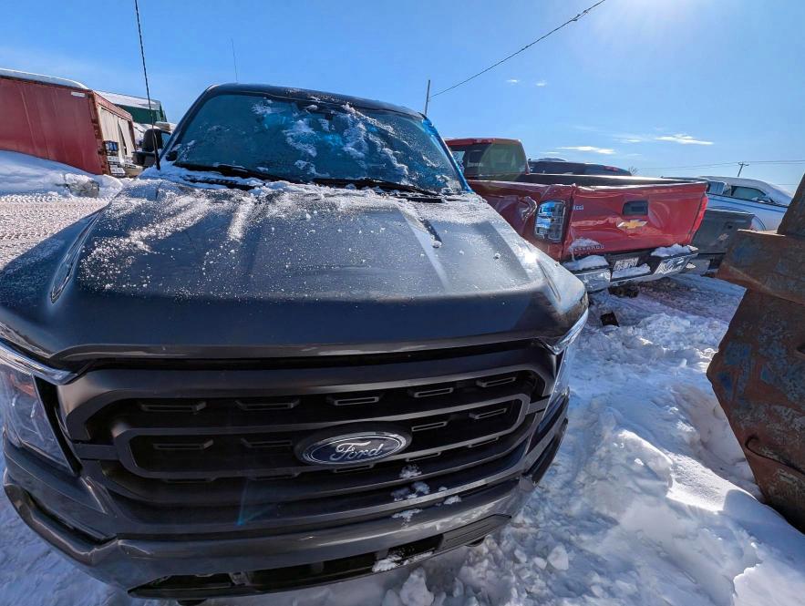 Aukcja sprzedaży 2023 Ford F150, vin: 1FTFW1E51PKF80392, numer aukcji: 74057915