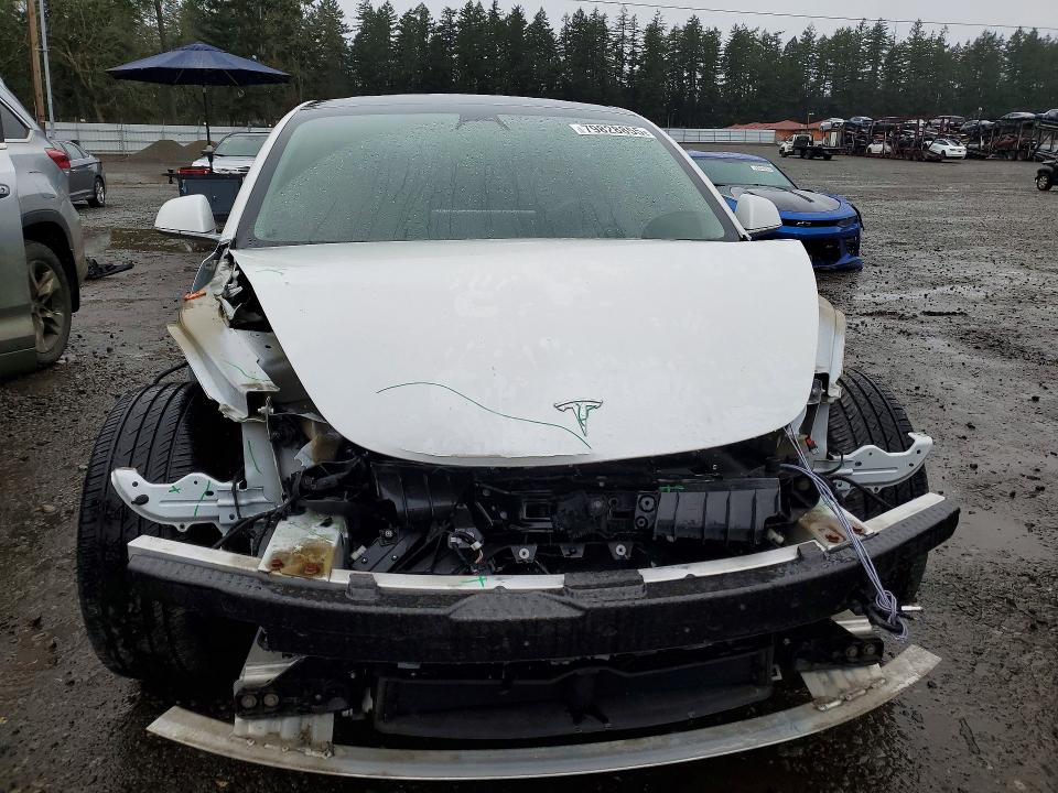 79828855 :رقم المزاد ، 5YJ3E1EA0KF430749 vin ، 2019 Tesla Model 3 مزاد بيع