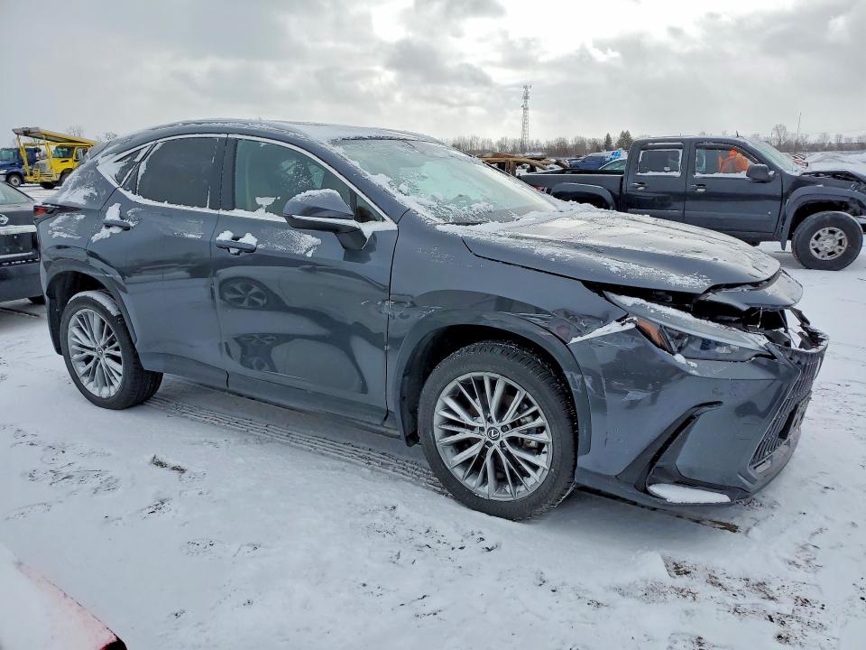 46534216 :رقم المزاد ، 2T2GKCEZ7SC038332 vin ، 2025 Lexus Nx 350 مزاد بيع