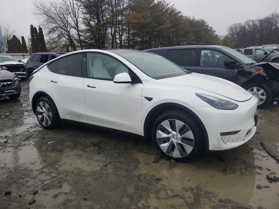 Aukcja sprzedaży 2024 Tesla Model Y, vin: 7SAYGAEE3RF064236, numer aukcji: 78829075