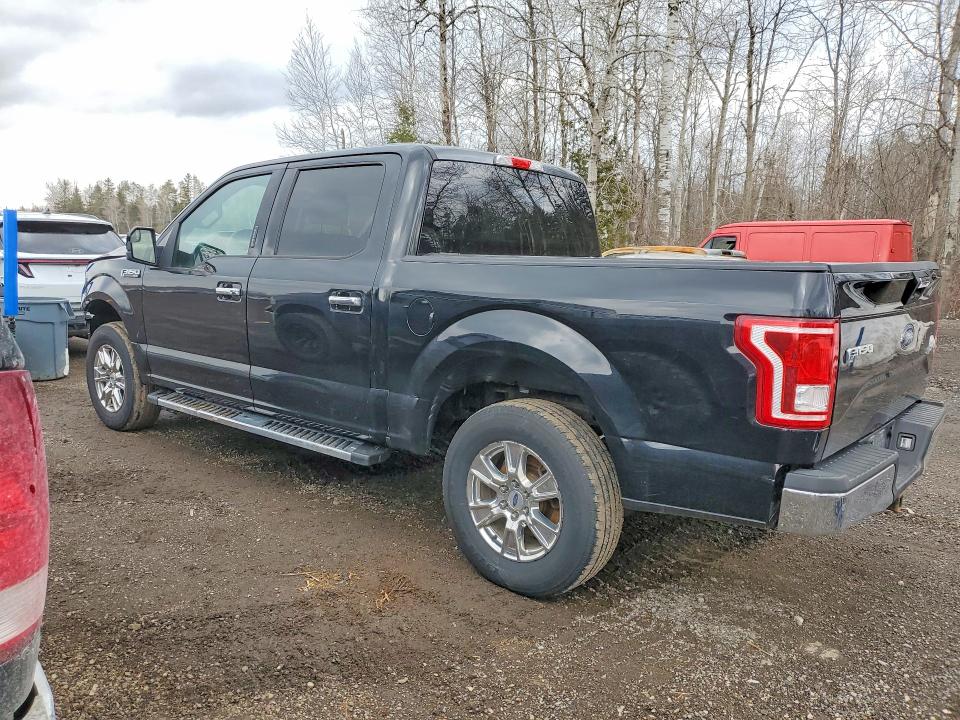 Продаж на аукціоні авто 2017 Ford F150, vin: 1FTEW1EG7HFB56139, номер лоту: 45955196
