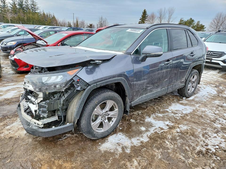 Продаж на аукціоні авто 2023 Toyota Rav4, vin: 2T3BWRFV1PW164667, номер лоту: 75808035