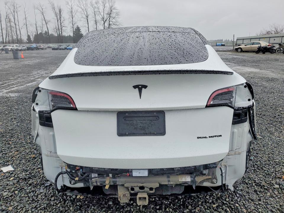 Продаж на аукціоні авто 2023 Tesla Model Y, vin: 7SAYGDEE4PF628247, номер лоту: 79971045