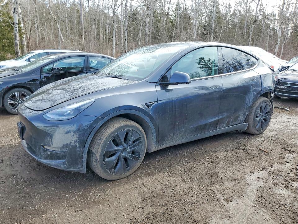 Продаж на аукціоні авто 2025 Tesla Model Y, vin: 7SAYGDEE7SF283787, номер лоту: 79155235