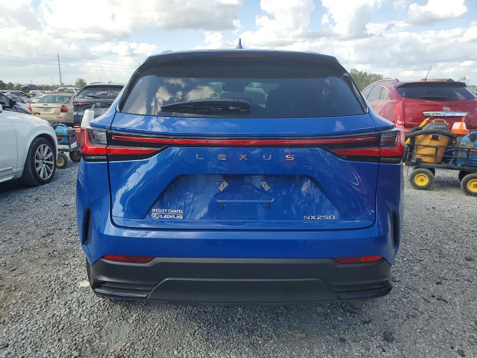 42072836 :رقم المزاد ، 2T2ADCAZ9SC017570 vin ، 2025 Lexus Nx 250 مزاد بيع