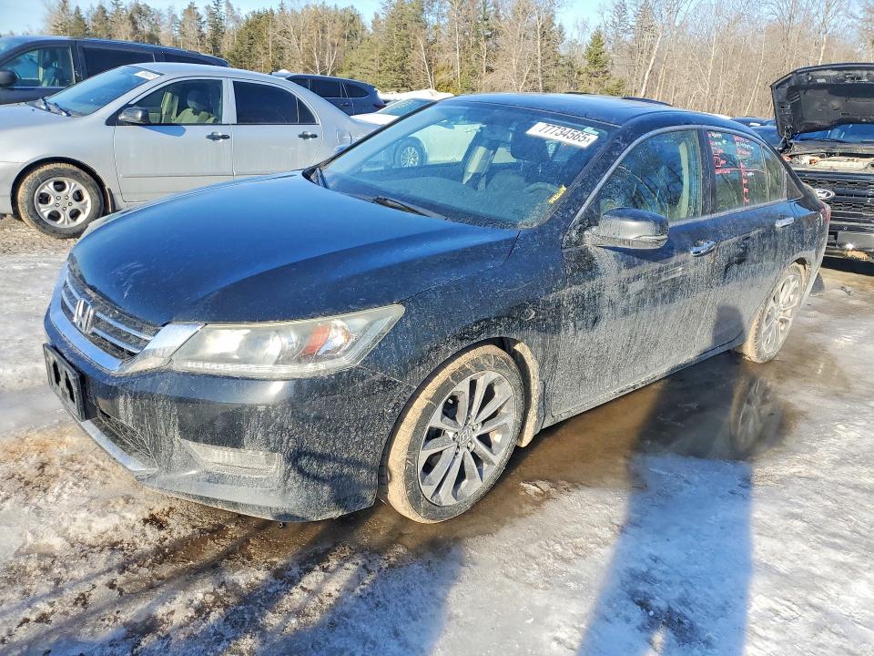 Продаж на аукціоні авто 2015 Honda Accord, vin: 1HGCR2F55FA803814, номер лоту: 77734565