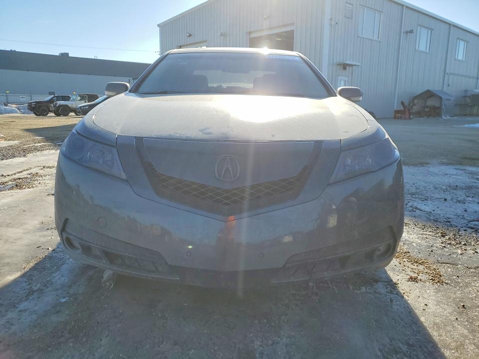 2010 Acura Tl მანქანა იყიდება აუქციონზე, vin: 19UUA8F29AA800122, აუქციონის ნომერი: 77749275