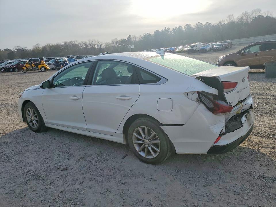 Продаж на аукціоні авто 2019 Hyundai Sonata, vin: 5NPE24AF3KH814918, номер лоту: 45623766