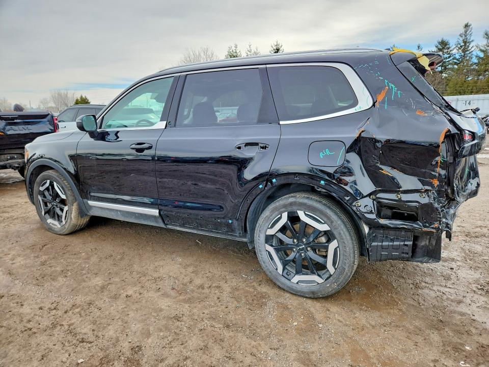 2024 Kia Telluride მანქანა იყიდება აუქციონზე, vin: 5XYP3DGC3RG516955, აუქციონის ნომერი: 78906195