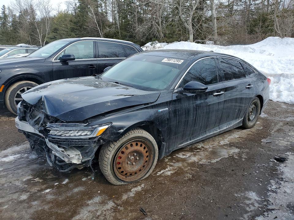Продажа на аукционе авто 2019 Honda Accord, vin: 1HGCV3F9XKA800504, номер лота: 79811295