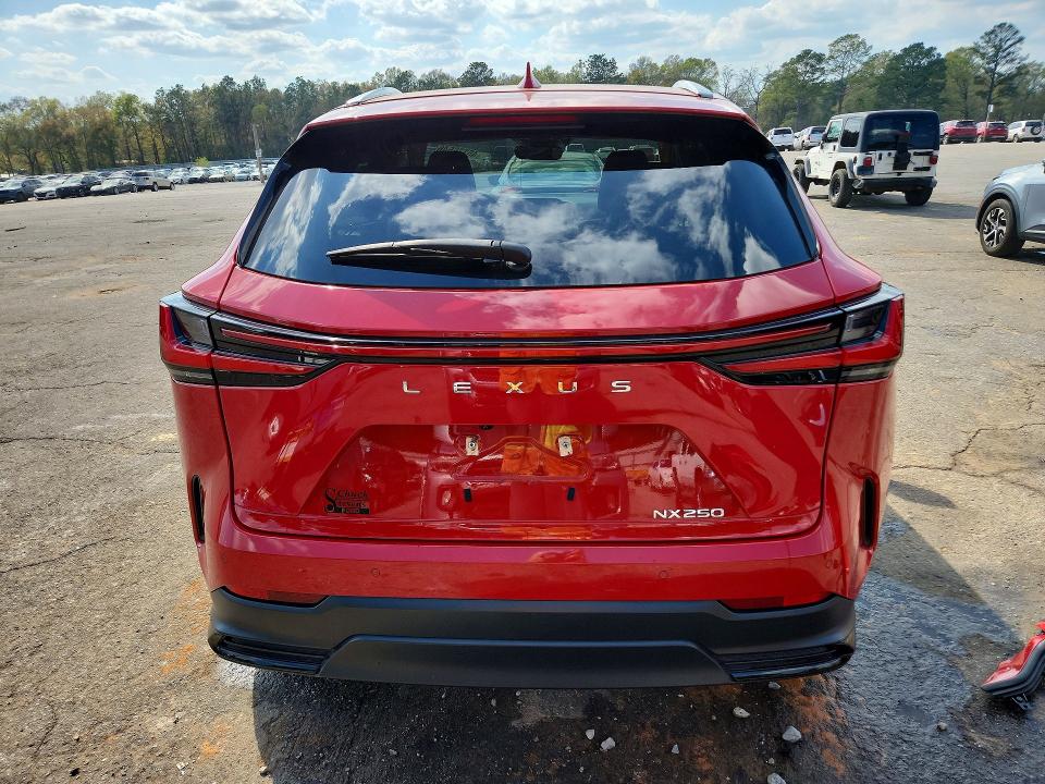 45776546 :رقم المزاد ، 2T2GDCAZ9RC009666 vin ، 2024 Lexus Nx 250 مزاد بيع