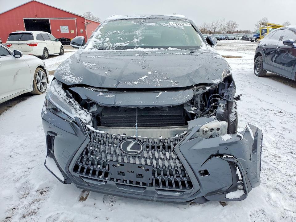 46534216 :رقم المزاد ، 2T2GKCEZ7SC038332 vin ، 2025 Lexus Nx 350 مزاد بيع