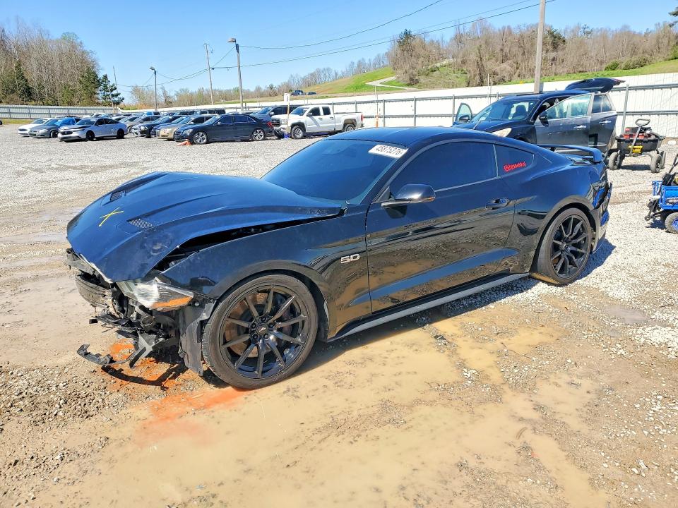 Продажа на аукционе авто 2019 Ford Mustang, vin: 1FA6P8CF4K5163248, номер лота: 45875276