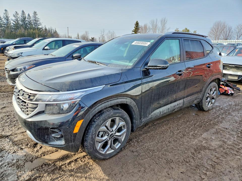Продаж на аукціоні авто 2025 Kia Seltos, vin: KNDEP2AA4S7754095, номер лоту: 46603006