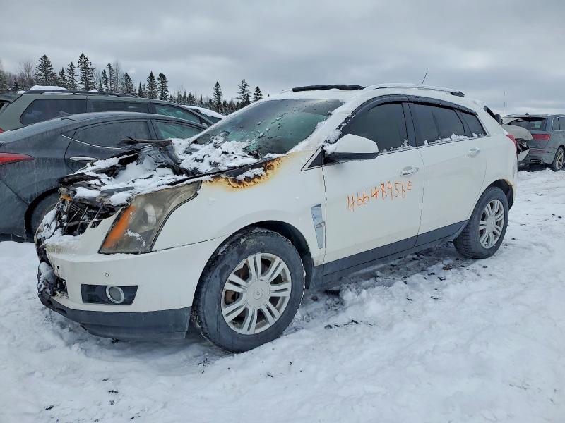 Продаж на аукціоні авто 2010 Cadillac Srx, vin: 3GYFNFE48AS577082, номер лоту: 46648956