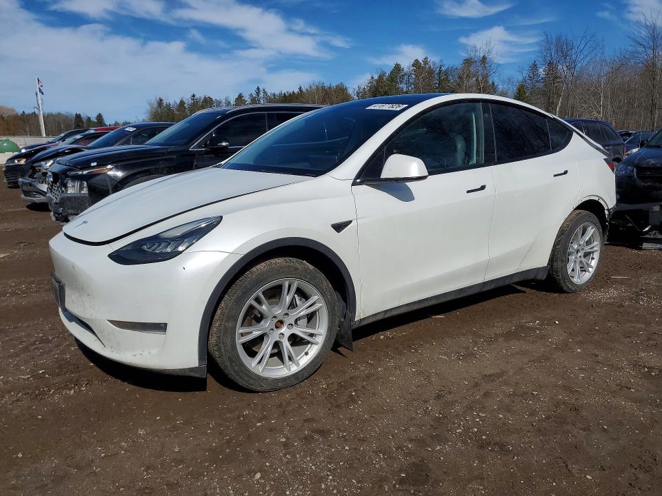 41877826 :رقم المزاد ، 7SAYGDEE9NF425531 vin ، 2022 Tesla Model Y مزاد بيع