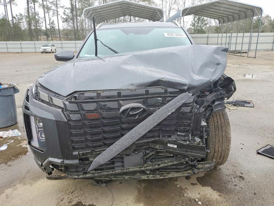 Продажа на аукционе авто 2025 Hyundai Palisade, vin: KM8R24GE9SU903281, номер лота: 45813866