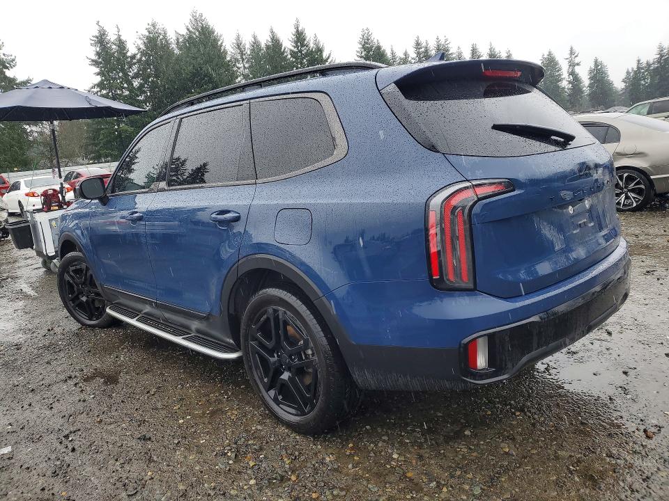 Продажа на аукционе авто 2025 Kia Telluride, vin: 5XYP3DGC8SG615423, номер лота: 46056376
