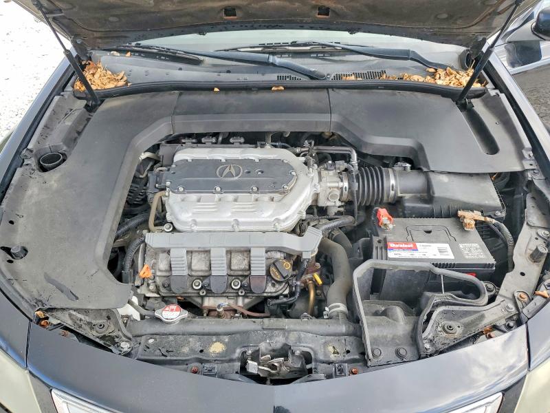 45856326 :رقم المزاد ، 19UUA8F51EA004142 vin ، 2014 Acura Tl مزاد بيع