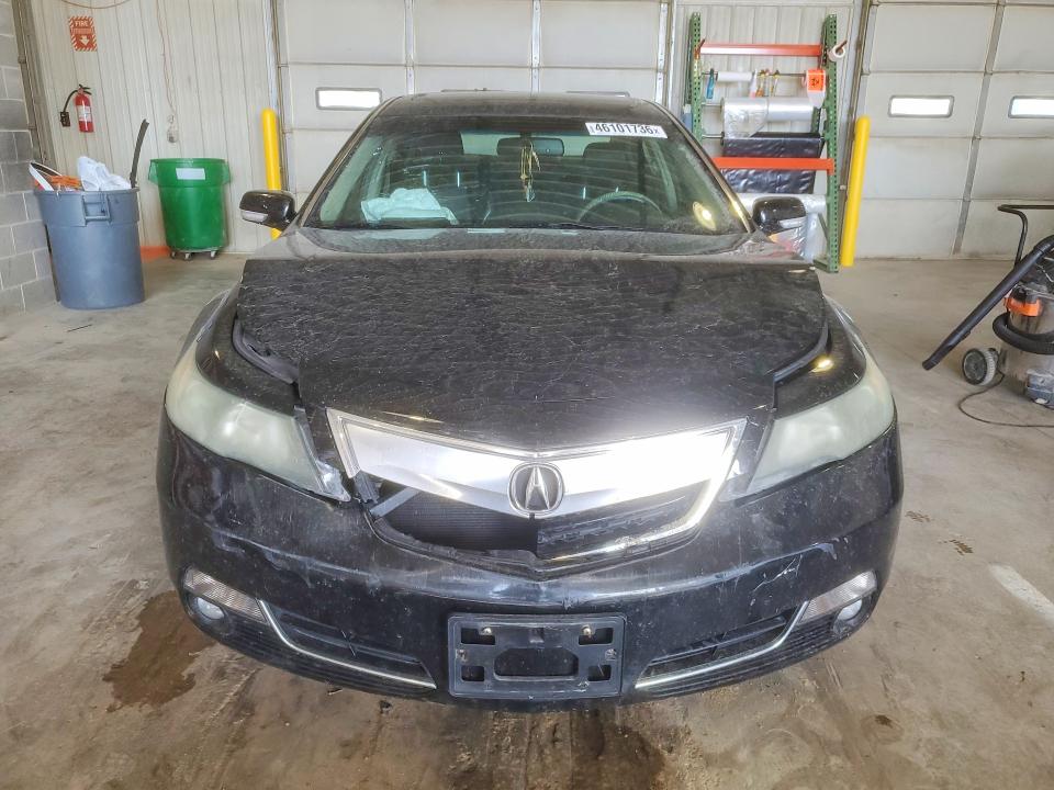 Продаж на аукціоні авто 2013 Acura Tl, vin: 19UUA8F2XDA007710, номер лоту: 46101736
