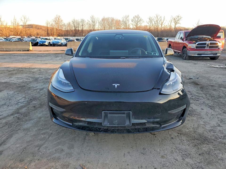 Продаж на аукціоні авто 2021 Tesla Model 3, vin: 5YJ3E1EB5MF055503, номер лоту: 42061006