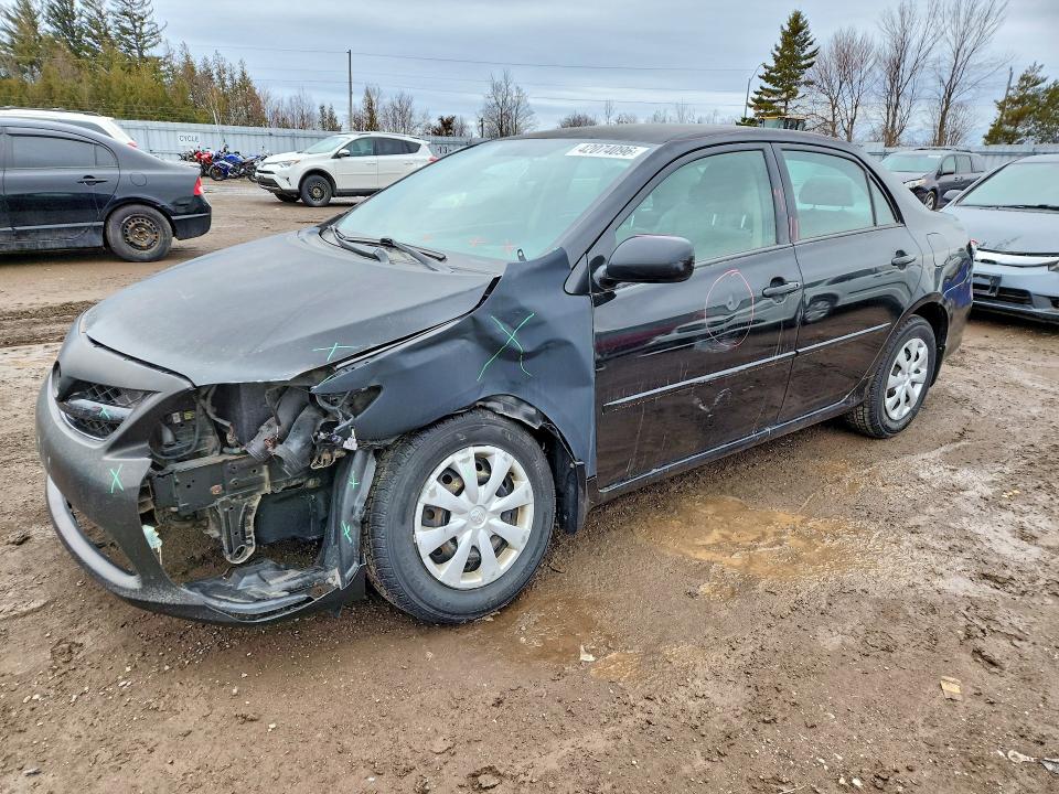 42074096 :رقم المزاد ، 2T1BU4EE4CC835506 vin ، 2012 Toyota Corolla مزاد بيع
