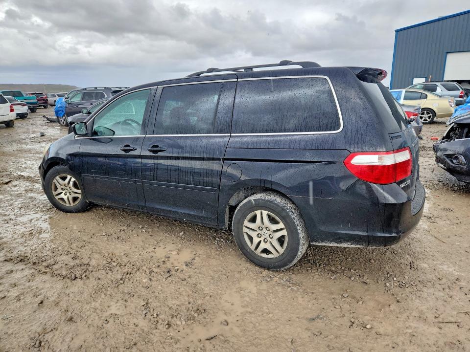 Продажа на аукционе авто 2007 Honda Odyssey, vin: 5FNRL38697B141363, номер лота: 41673696