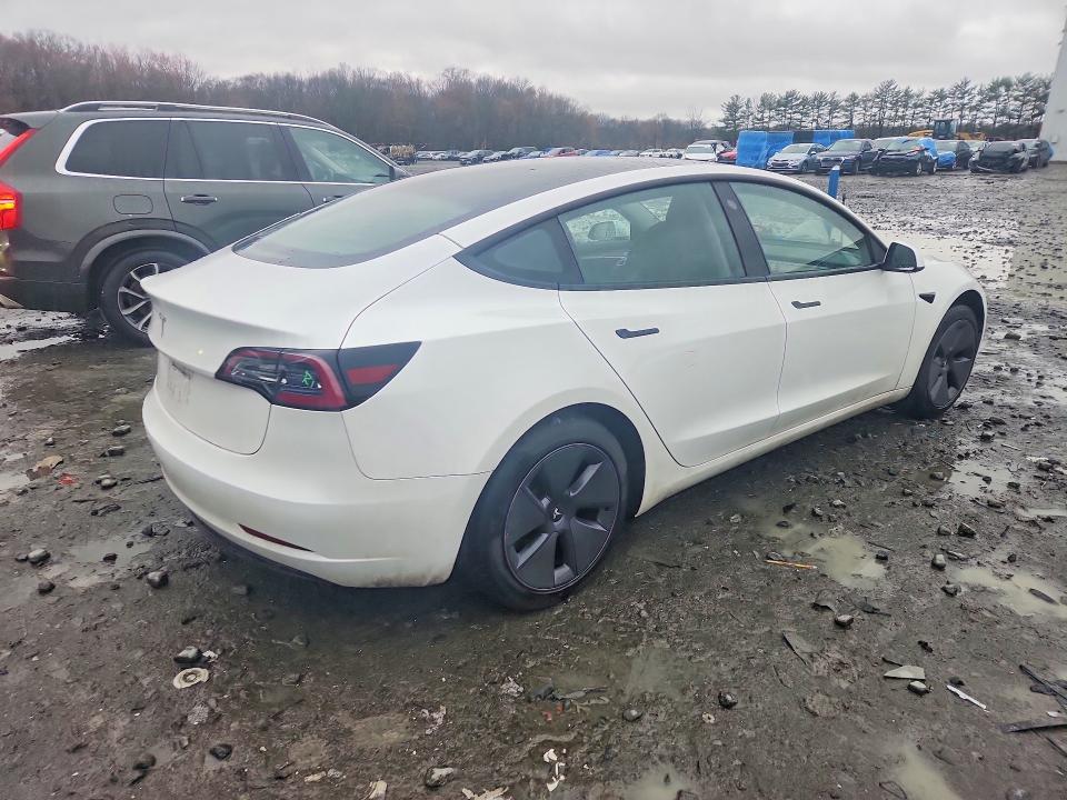 2023 Tesla Model 3 მანქანა იყიდება აუქციონზე, vin: 5YJ3E1EA8PF542061, აუქციონის ნომერი: 45826076