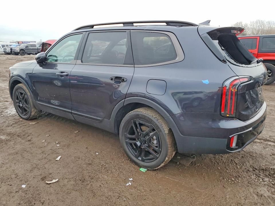 Продажа на аукционе авто 2025 Kia Telluride, vin: 5XYP5DGC7SG615925, номер лота: 46737346