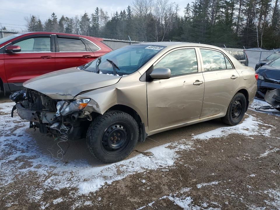 Продажа на аукционе авто 2009 Toyota Corolla, vin: 2T1BU40E79C106593, номер лота: 45910476