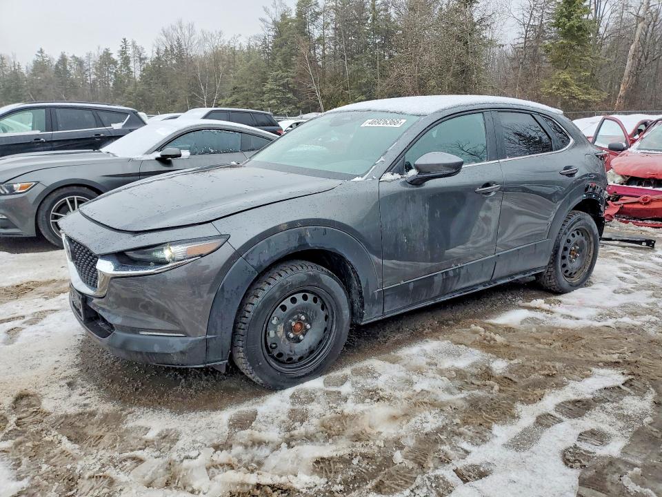 Auction sale of the 2025 Mazda Cx-30, vin: 3MVDMBCM9SM861871, lot number: 46926366