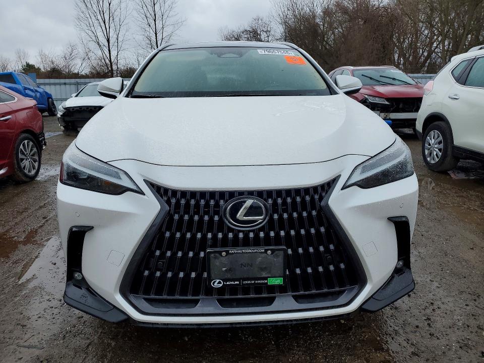 79067545 :رقم المزاد ، 2T2GKCEZ3PC012026 vin ، 2023 Lexus Nx 350h مزاد بيع