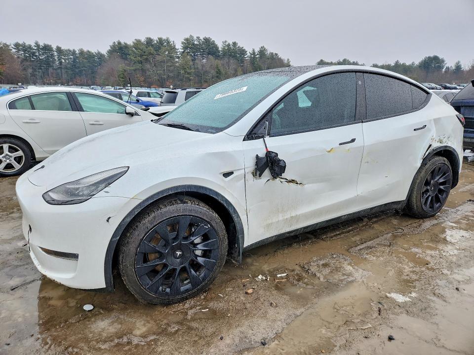Продажа на аукционе авто 2023 Tesla Model Y, vin: 7SAYGDEE0PA024711, номер лота: 79665325