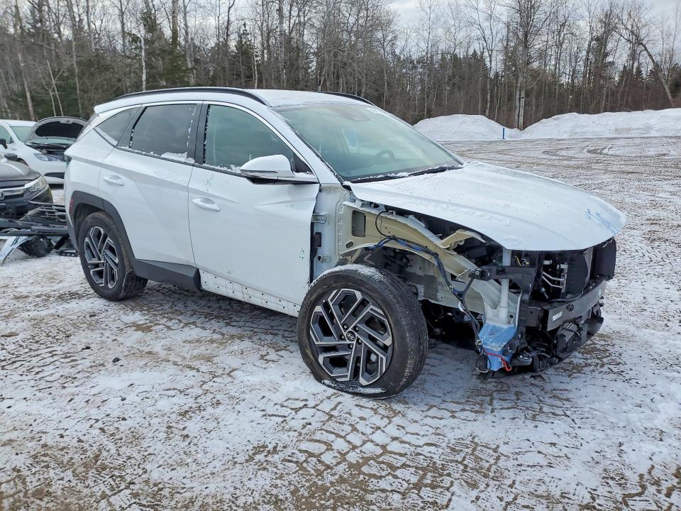 Aukcja sprzedaży 2025 Hyundai Tucson Hybrid, vin: KM8JCDD19SU306076, numer aukcji: 46513886