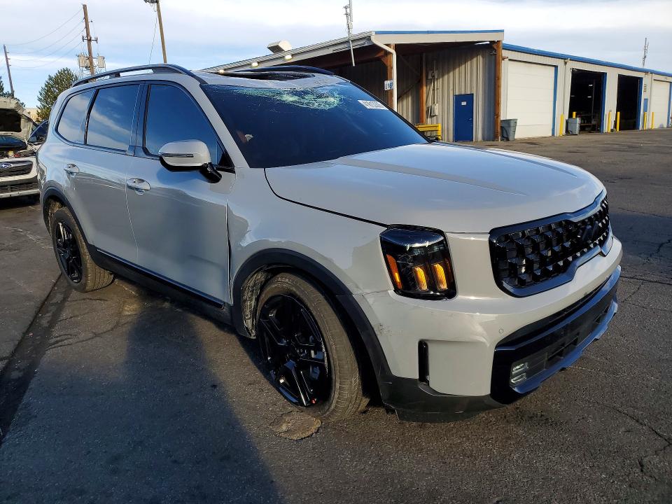 Продаж на аукціоні авто 2025 Kia Telluride, vin: 5XYP5DGC0SG736442, номер лоту: 41613306
