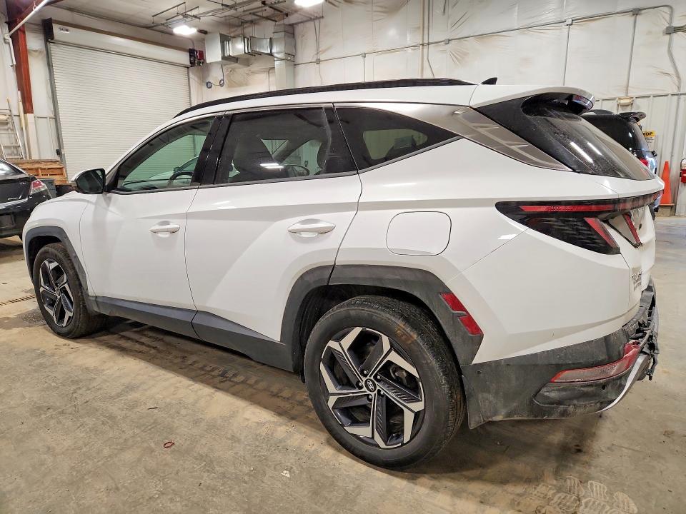 2024 Hyundai Tucson მანქანა იყიდება აუქციონზე, vin: KM8JECD13RU148879, აუქციონის ნომერი: 77549865