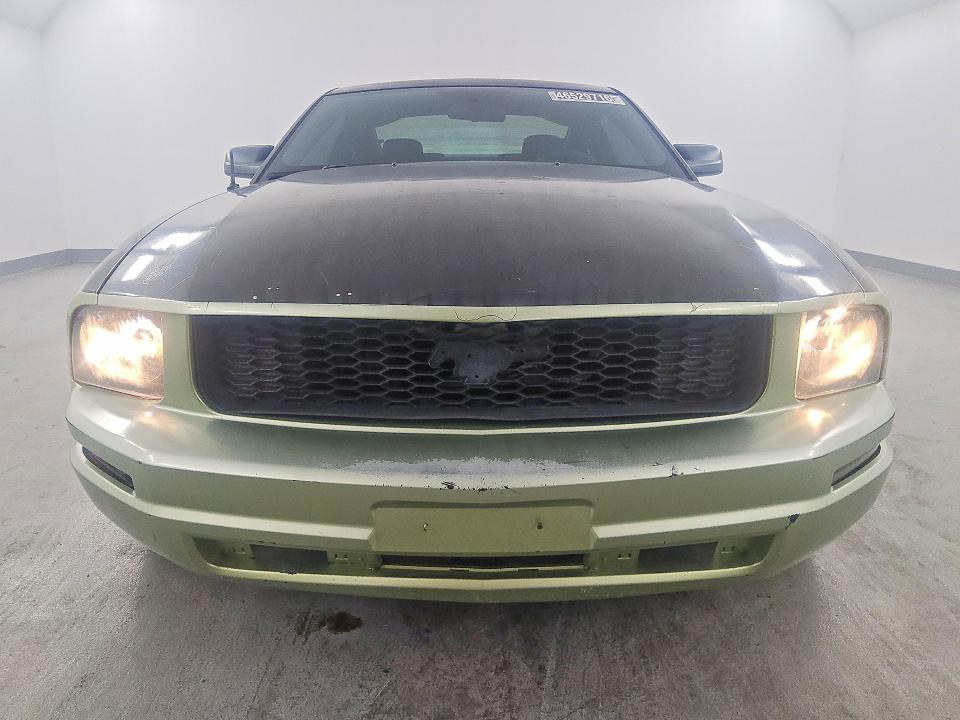 Продажа на аукционе авто 2005 Ford Mustang, vin: 1ZVFT80N655196609, номер лота: 46529716