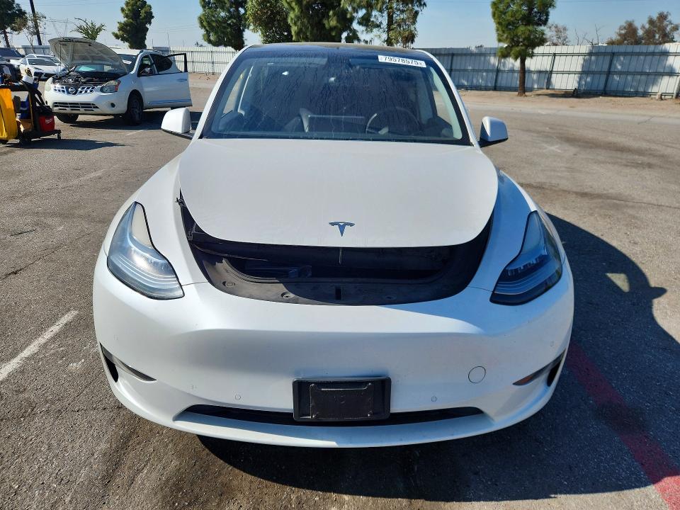 79578575 :رقم المزاد ، 5YJYGDEEXMF239427 vin ، 2021 Tesla Model Y مزاد بيع