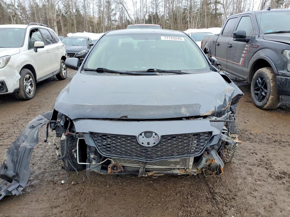 Продажа на аукционе авто 2009 Toyota Corolla, vin: 2T1BU40E59C101408, номер лота: 77725245
