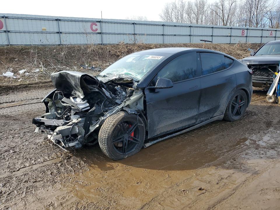 Продаж на аукціоні авто 2023 Tesla Model Y, vin: 7SAYGDEF1PF857221, номер лоту: 79668345