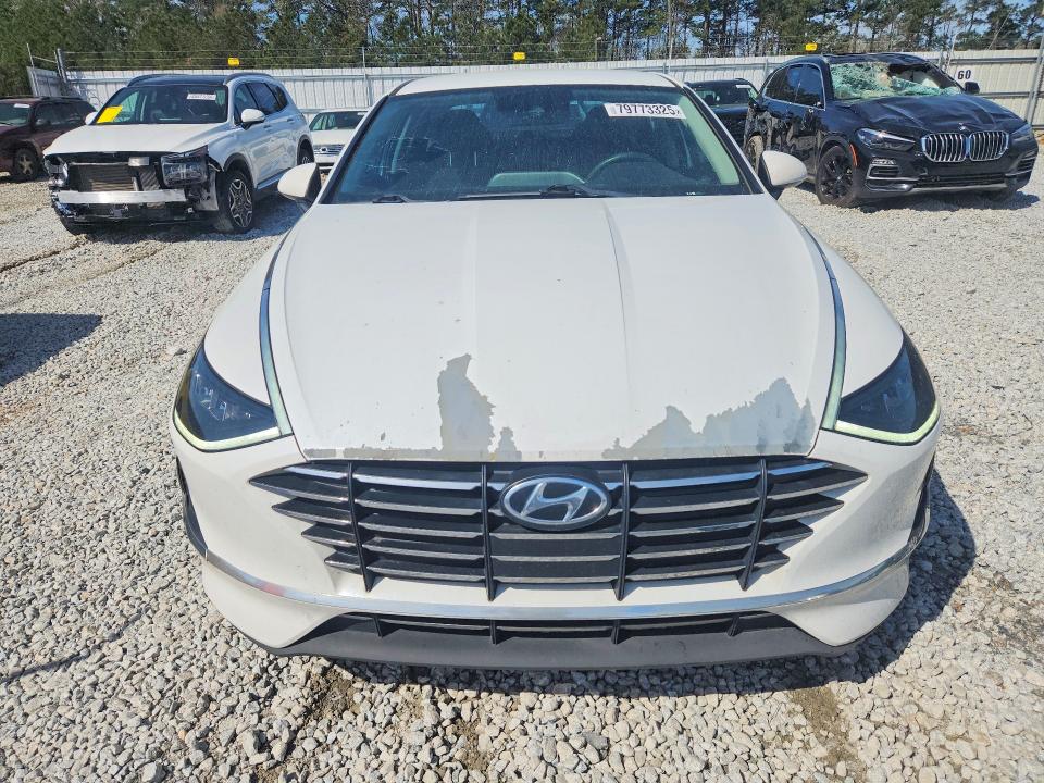 Auction sale of the 2020 Hyundai Sonata, vin: 5NPEG4JA3LH006804, lot number: 79773325