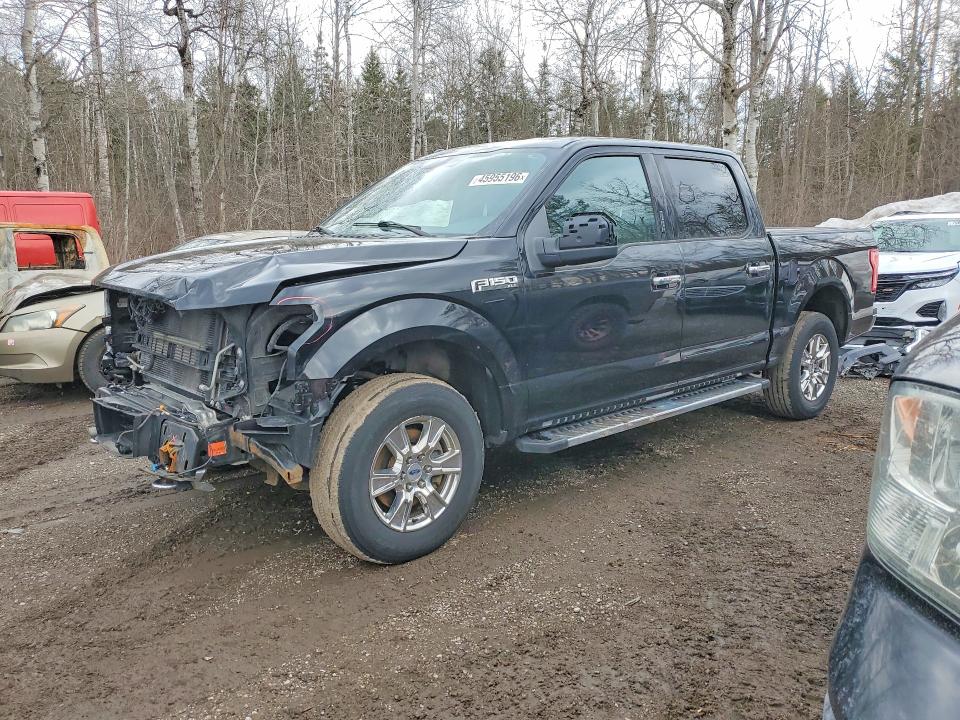 Продаж на аукціоні авто 2017 Ford F150, vin: 1FTEW1EG7HFB56139, номер лоту: 45955196