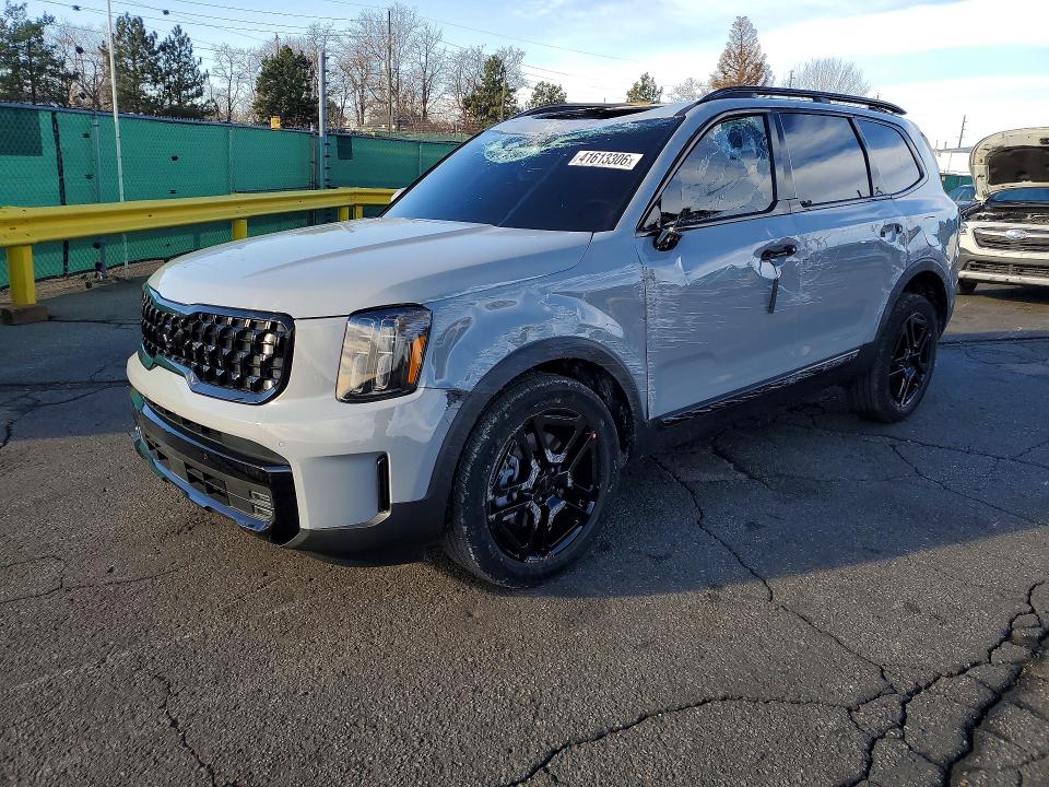 Продаж на аукціоні авто 2025 Kia Telluride, vin: 5XYP5DGC0SG736442, номер лоту: 41613306