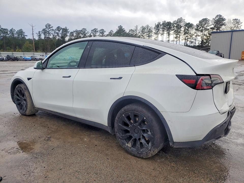 Продаж на аукціоні авто 2023 Tesla Model Y, vin: 7SAYGDEE3PF690156, номер лоту: 46211576