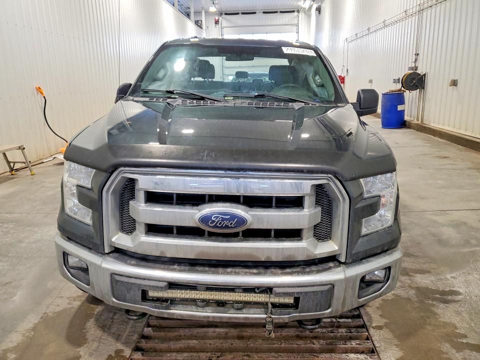 Продажа на аукционе авто 2015 Ford F150, vin: 1FTFW1EF0FFC41834, номер лота: 79812905