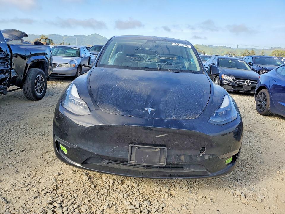 Продаж на аукціоні авто 2023 Tesla Model Y, vin: 7SAYGDEE8PF707419, номер лоту: 45513926