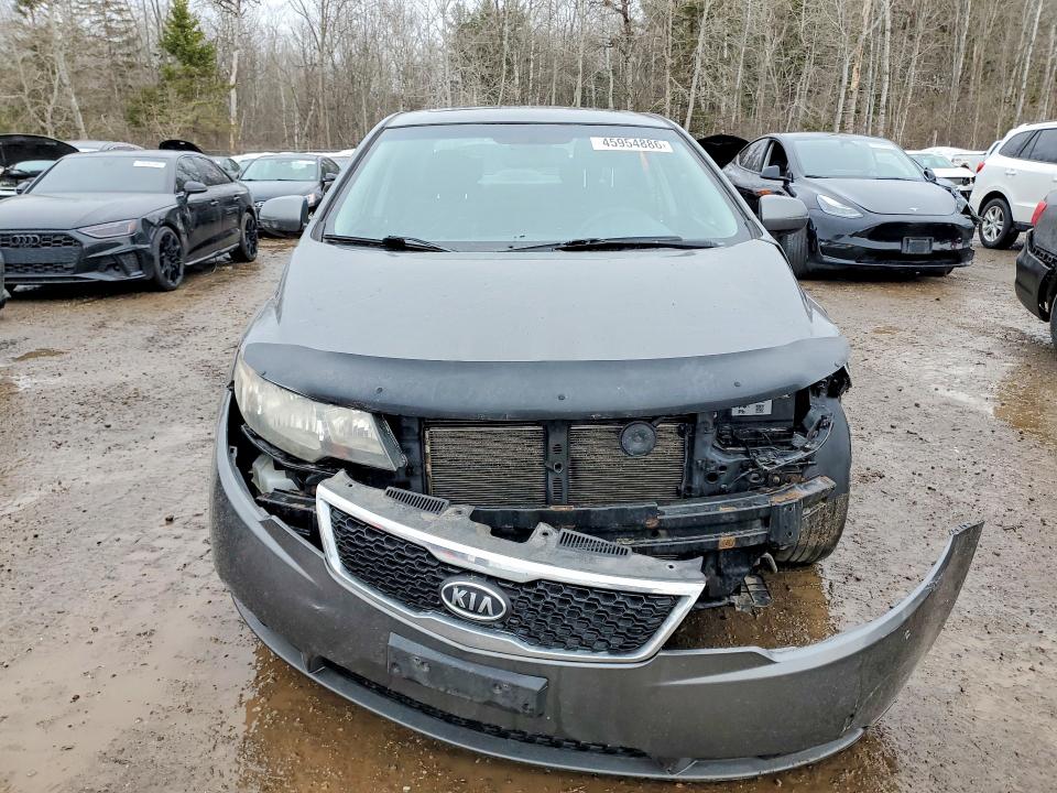 45954886 :رقم المزاد ، KNAFU4A28D5700697 vin ، 2013 Kia Forte مزاد بيع