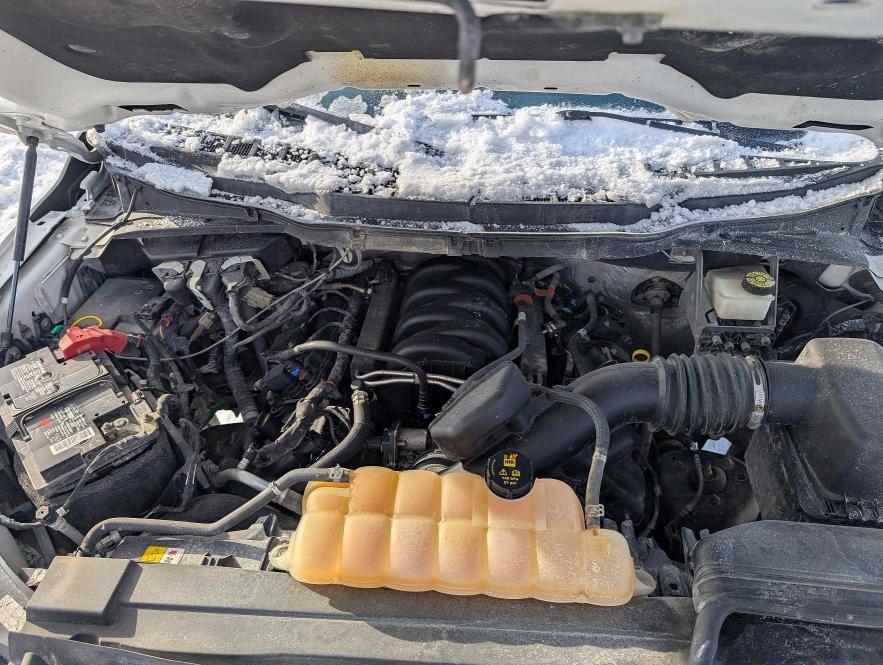 Aukcja sprzedaży 2021 Ford F150, vin: 1FTFW1E54MKE00656, numer aukcji: 78247535