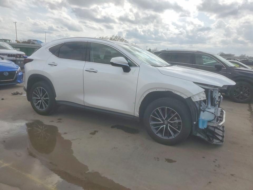 Продаж на аукціоні авто 2025 Lexus Nx, vin: 2T2GDCAZ3SC030180, номер лоту: 79536835