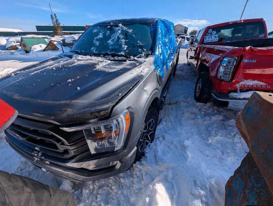 Aukcja sprzedaży 2023 Ford F150, vin: 1FTFW1E51PKF80392, numer aukcji: 74057915
